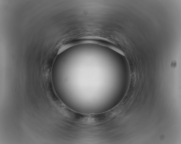 X0000091990276200709201453