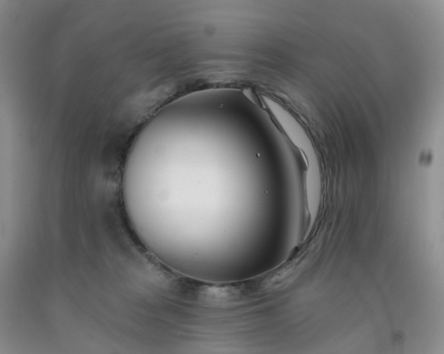 X0000091990277200709201453
