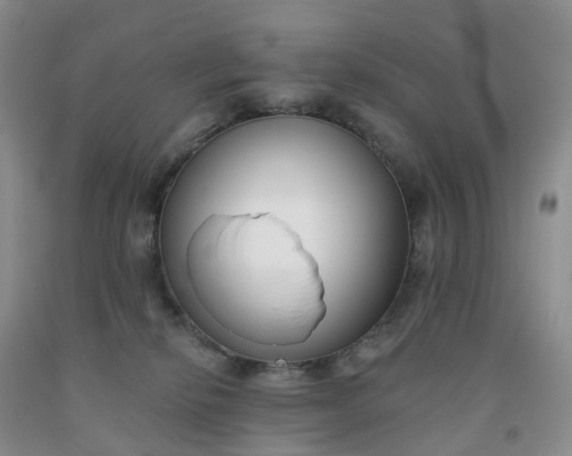 X0000091990278200709201453
