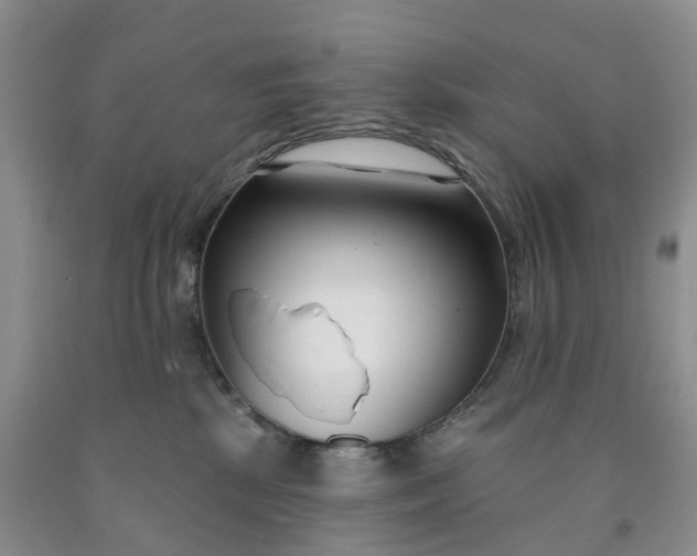 X0000091990281200709201453