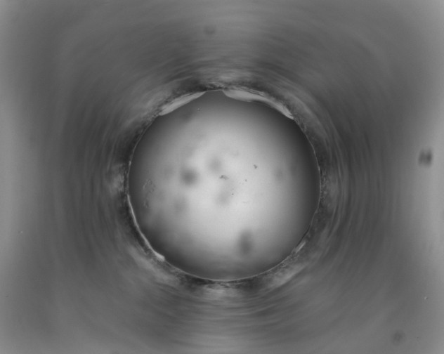 X0000091990284200709201453