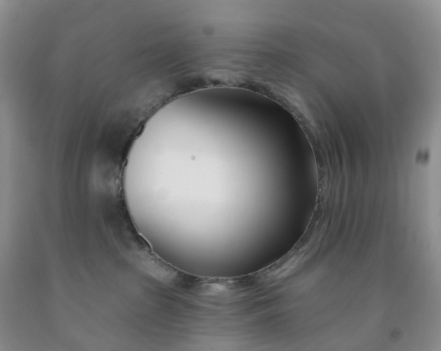 X0000091990285200709201454