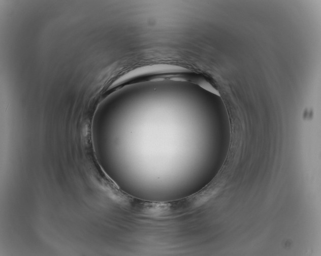 X0000091990288200709201454