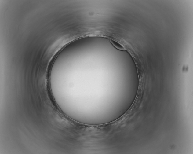 X0000091990290200709201453