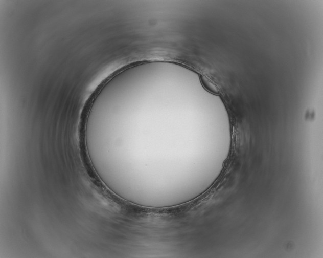 X0000091990292200709201453