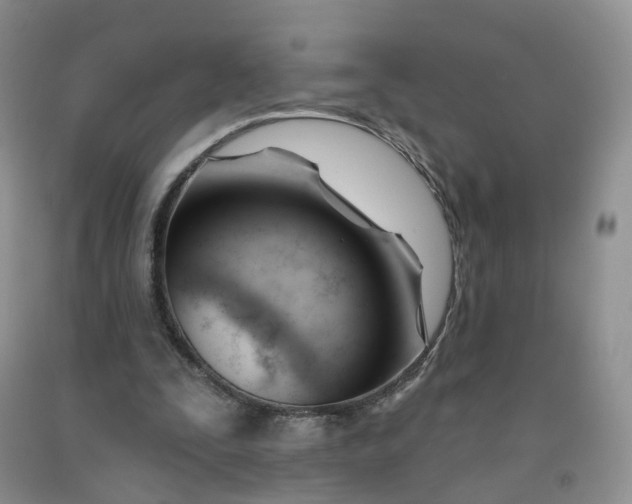 X0000091990295200709201453