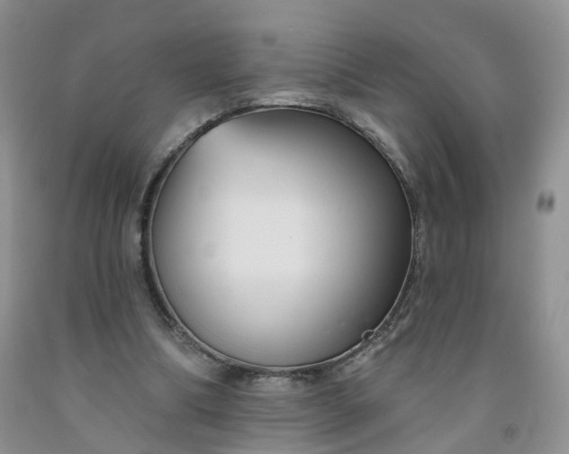 X0000091990298200709201453