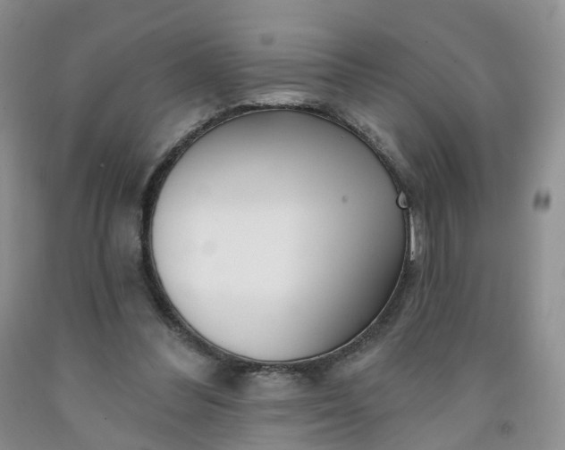 X0000091990300200709201453