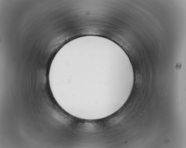 X0000091990302200709201453