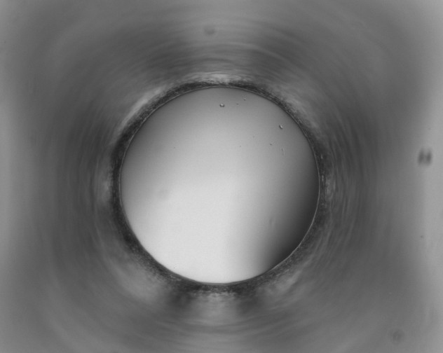 X0000091990304200709201453