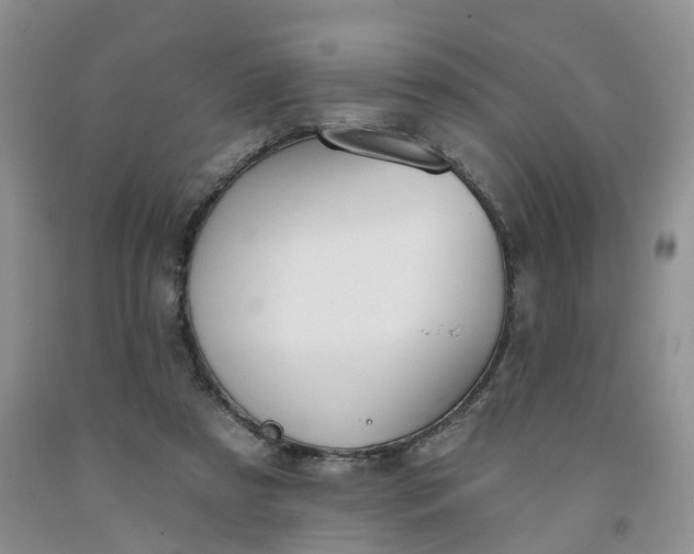 X0000091990305200709201453
