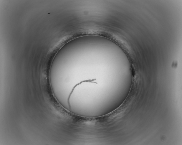 X0000091990306200709201453
