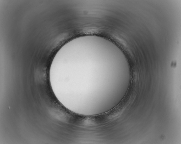 X0000091990308200709201453