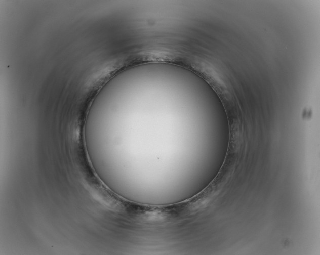 X0000091990310200709201453