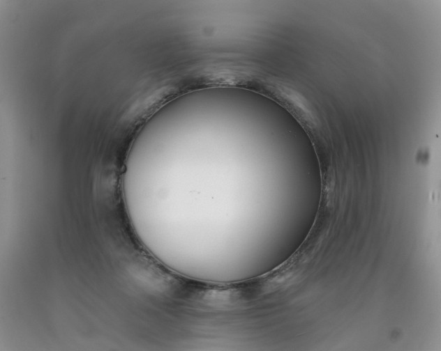 X0000091990314200709201453