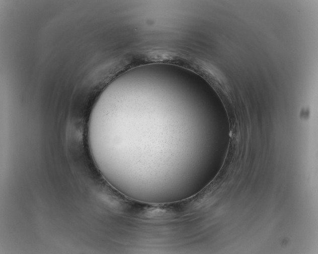 X0000091990315200709201453