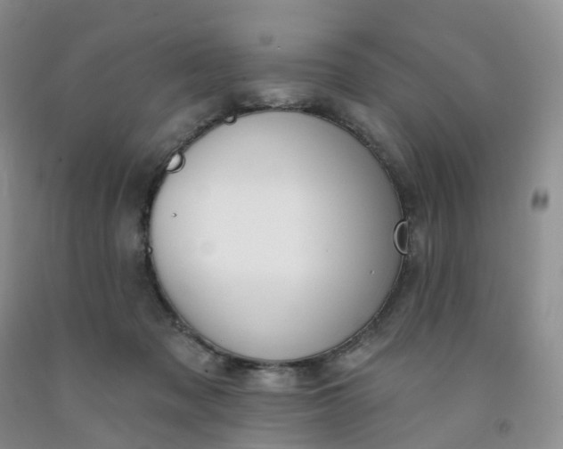 X0000091990317200709201453