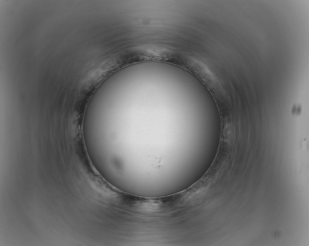 X0000091990318200709201452