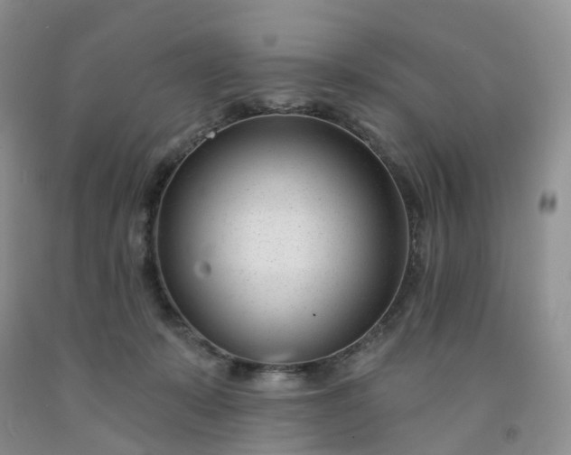 X0000091990319200709201452