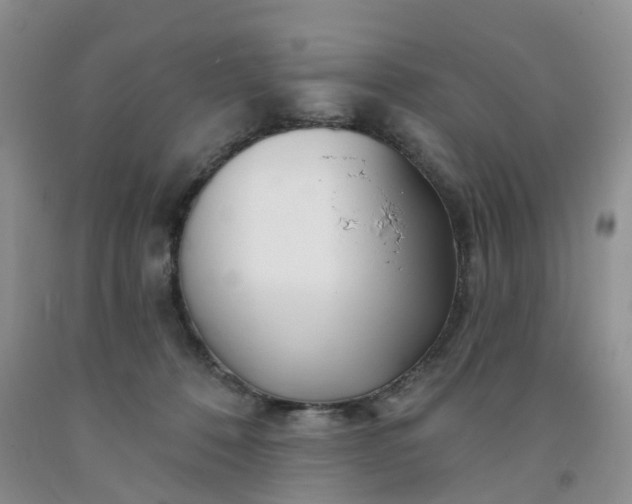 X0000091990320200709201452