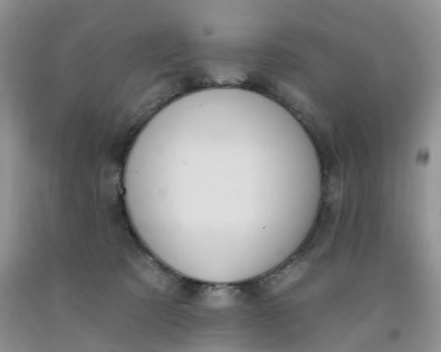 X0000091990321200709201452