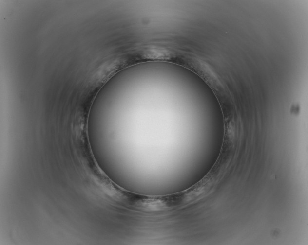 X0000091990322200709201452