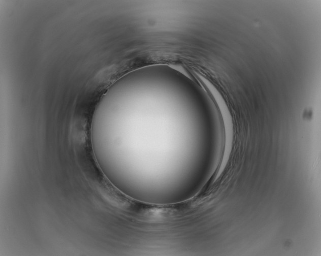 X0000091990323200709201452