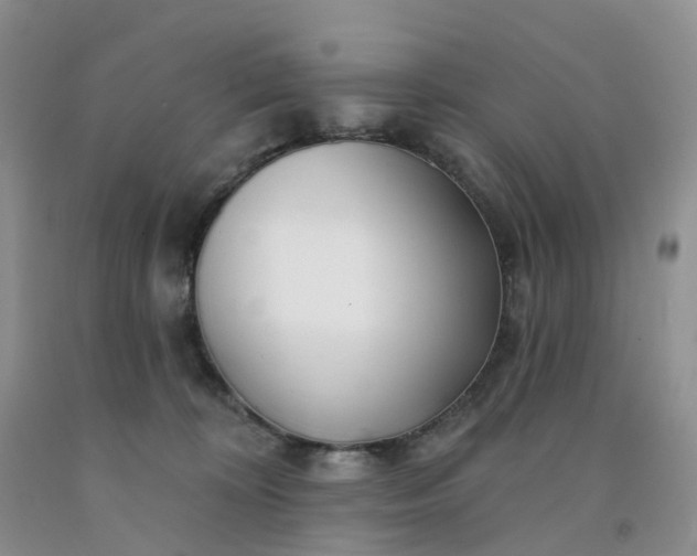 X0000091990324200709201452