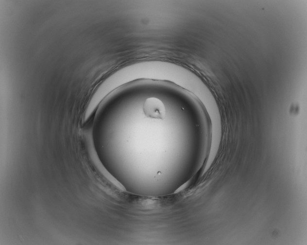 X0000091990325200709201452