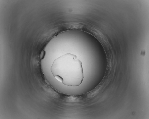 X0000091990326200709201452