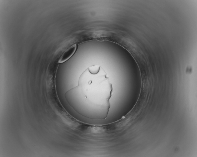 X0000091990327200709201452