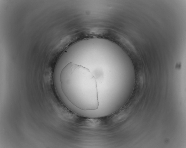 X0000091990328200709201452