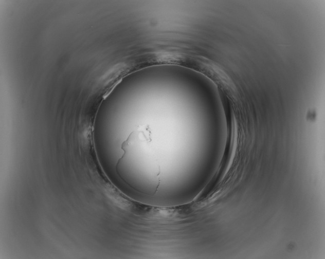 X0000091990329200709201452