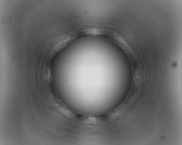 X0000091990330200709201452