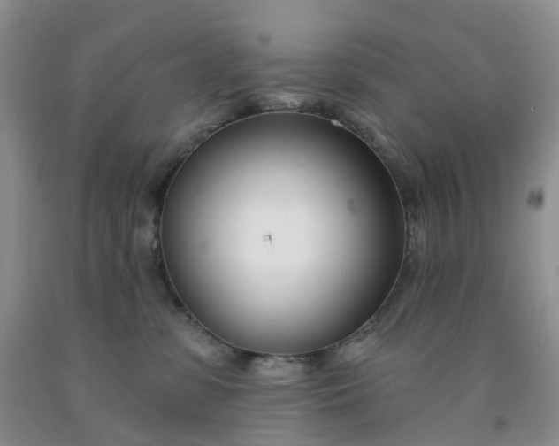 X0000091990331200709201452
