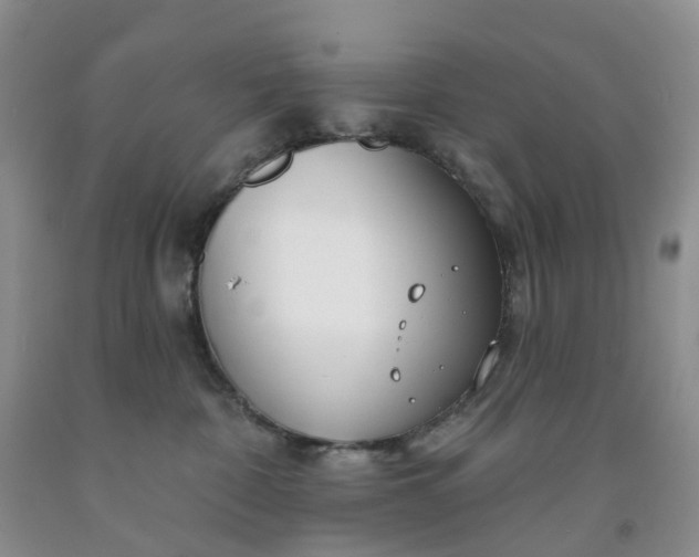 X0000091990332200709201452