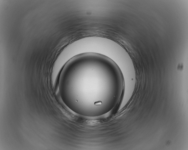 X0000091990333200709201452