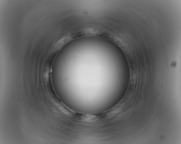 X0000091990334200709201452