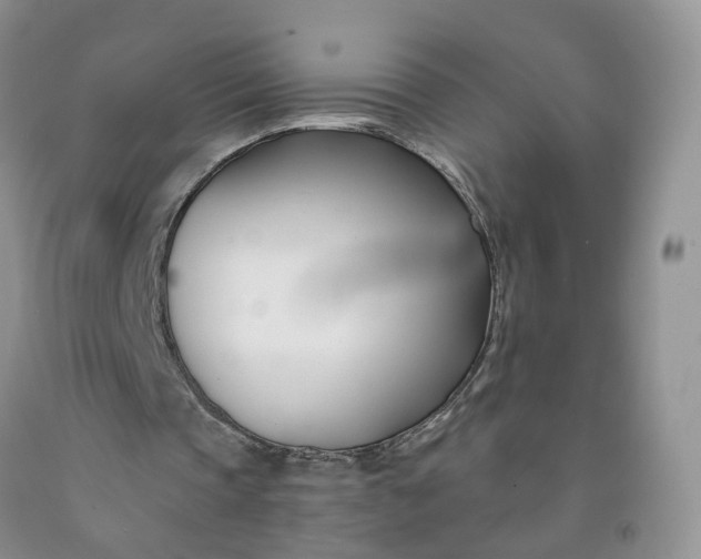 X0000091990337200709201452