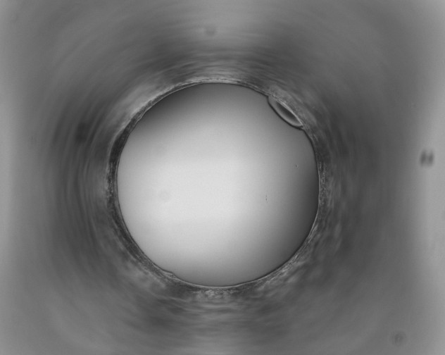 X0000091990338200709201452