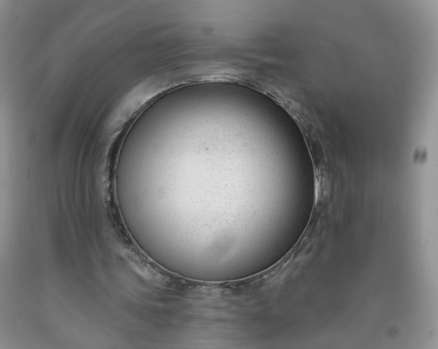 X0000091990339200709201452