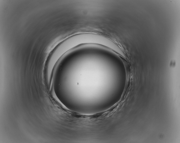 X0000091990340200709201452