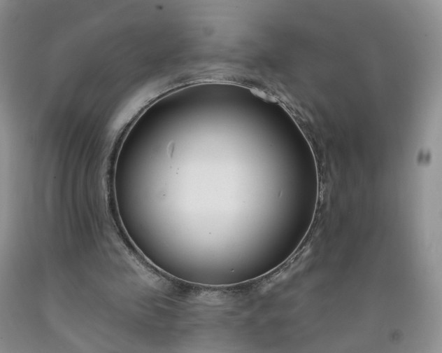 X0000091990341200709201452