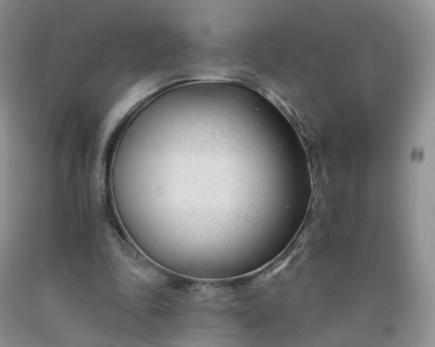 X0000091990343200709201452