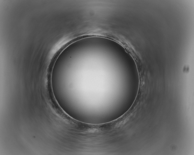 X0000091990344200709201452