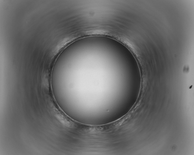 X0000091990345200709201452