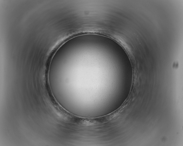 X0000091990346200709201452