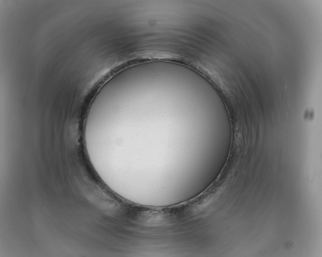 X0000091990351200709201452