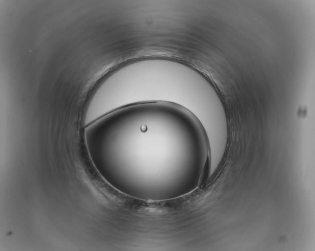 X0000091990352200709201452