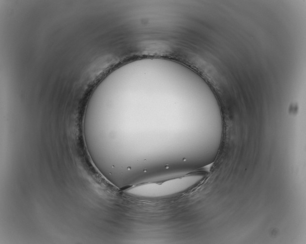 X0000091990354200709201452